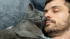 Tak kot okazuje swoją miłość: jeśli to robi, jesteś dla niego najważniejszą osobą