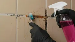 Jak pozbyć się pleśni z fug między płytkami i przywrócić im pierwotny wygląd